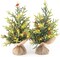 12 in Pre-lit Tabletop Xmas Decorations (Green) 3"D x 3"W x 12"H